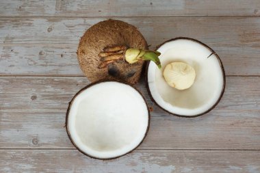 ahşap zemin üzerine Hindistan cevizi