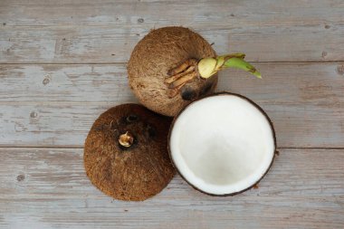 ahşap zemin üzerine Hindistan cevizi