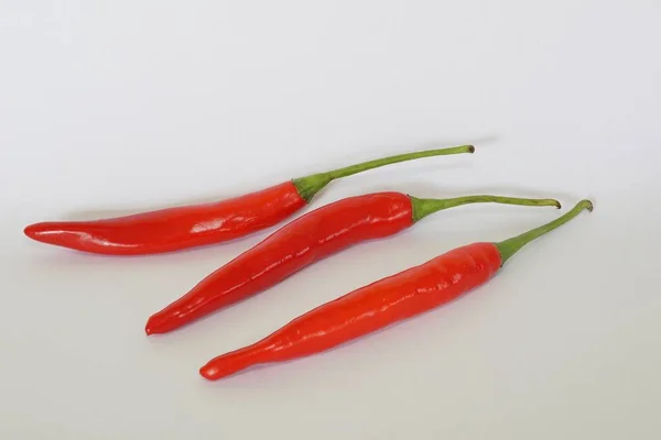 Piros Chili Fehér Háttér — Stock Fotó