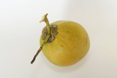 Genç hindistan cevizi meyvesi beyaz arka planda izole