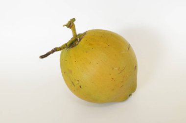 Genç hindistan cevizi meyvesi beyaz arka planda izole