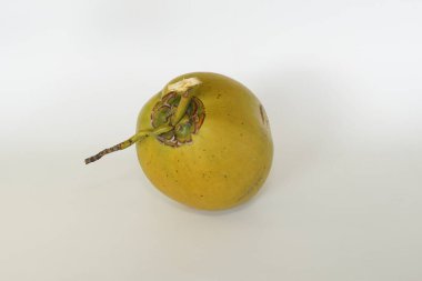 Genç hindistan cevizi meyvesi beyaz arka planda izole