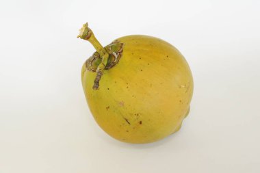 Genç hindistan cevizi meyvesi beyaz arka planda izole