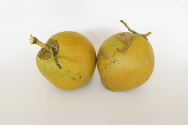 Genç hindistan cevizi meyvesi beyaz arka planda izole