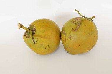 Genç hindistan cevizi meyvesi beyaz arka planda izole