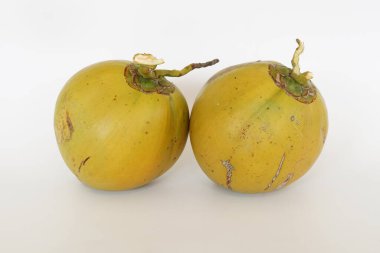 Genç hindistan cevizi meyvesi beyaz arka planda izole