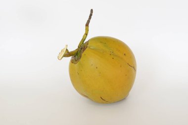 Genç hindistan cevizi meyvesi beyaz arka planda izole