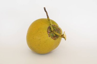 Genç hindistan cevizi meyvesi beyaz arka planda izole