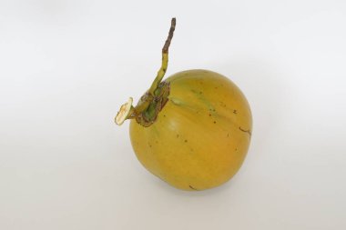 Genç hindistan cevizi meyvesi beyaz arka planda izole