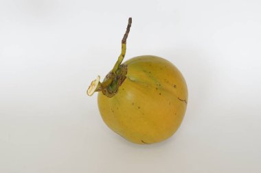 Genç hindistan cevizi meyvesi beyaz arka planda izole