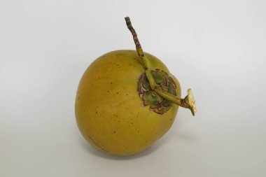 Genç hindistan cevizi meyvesi beyaz arka planda izole