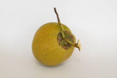 Genç hindistan cevizi meyvesi beyaz arka planda izole