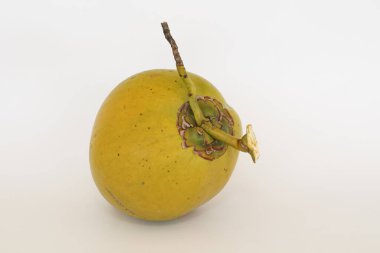 Genç hindistan cevizi meyvesi beyaz arka planda izole