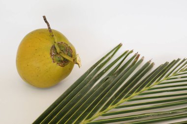 Beyaz arka planda yapraklı genç hindistan cevizi meyvesi