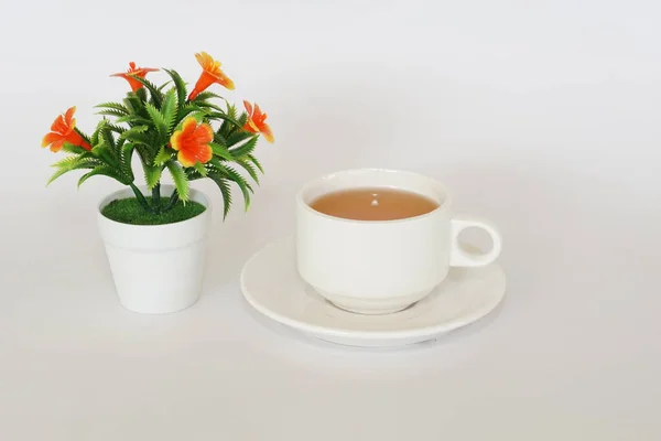 白を基調とした花とお茶が — ストック写真