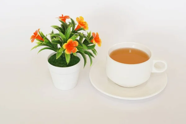 Цветок Чашку Чая Изолированы Белом Фоне — стоковое фото