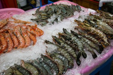 Busan, Güney Kore 'deki Jagalchi Balık Pazarı' nda taze karides ve siyah kaplan karidesleri.