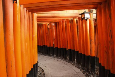 Japonya, Kyoto 'daki Fushimi Inari türbesindeki kırmızı Torii kapıları