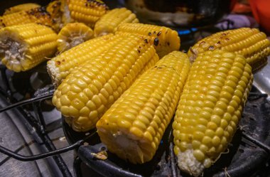 Propan gazı sobasında ızgara yapan bir grup kovan.