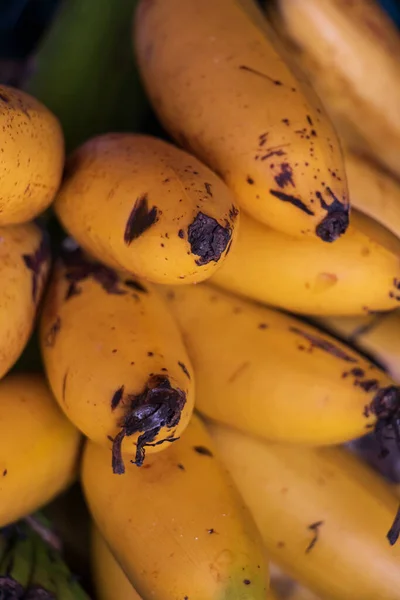 Closeup Detalhado Conjunto Bananas Minúsculas Conhecidas Colômbia Alguns Países Tropicais — Fotografia de Stock