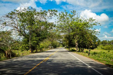 Aracın öznel görünümünden yola bakış açısı