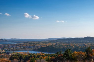 Doğal sonbahar manzarası, güneşli bir günde güzel doğal manzara.. 