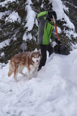 Kar yağışı. İri köpekli çocuk, karlı havada karları temizler..