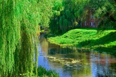 Sakin nehrin yanındaki muhteşem yaz manzarası. Güneşli, sıcak bir günde, yeşil zümrüt yeşiliyle nehirde söğütler süzülüyor.