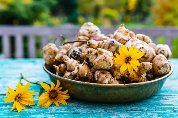 Nygrävda Jordärtskocksknölar Och Blommor Trädgårdsbordet — Stockfoto