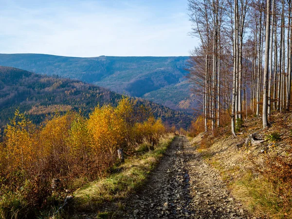 Beskids dağlarının sonbahar manzarası. Polonya 'da Beskids' daki dağ patikaları.