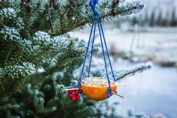 Bird food for the winter. Do-it-yourself energy bird fat balls.