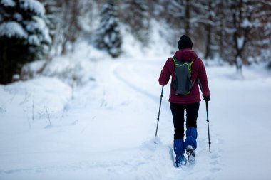 Kış manzarasında İskandinav Yürüyüşü pratiği yapan bir kadın. Yaşlıların aktif yaşam tarzı. 
