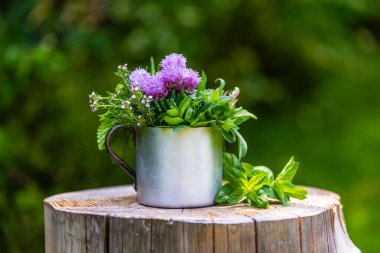 Tahta bir masada, fincanda taze bitkiler..