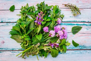 Tahta masadaki taze bitkiler..