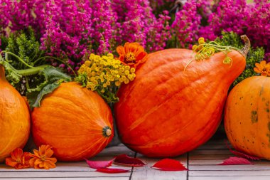 Bahçedeki ahşap masada balkabakları ve fundalıklar.