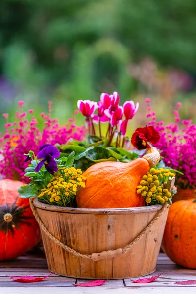 Kürbisse Und Heidekraut Auf Einem Holztisch Garten Raum Für Text — Stockfoto