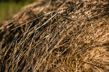 bir saman yığını