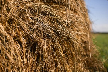 bir saman yığını