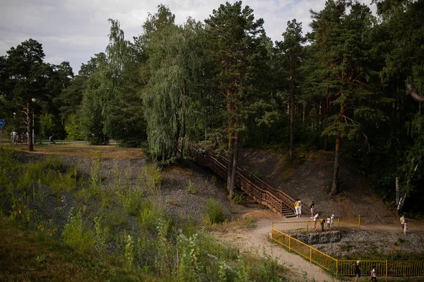 Çam ormanı açık havada