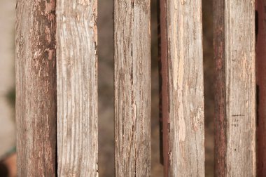 Gün ışığında ahşap doku