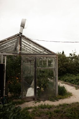 Büyükbabam bir yaz günü kır evinde çalışır..