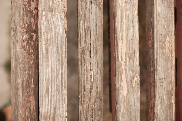 Gün ışığında ahşap doku