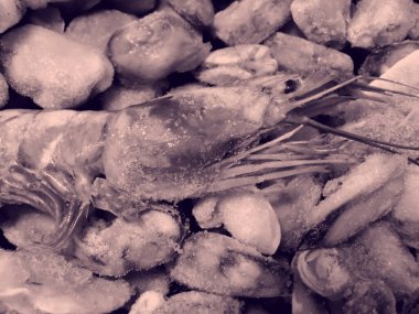 Donmuş deniz ürünleri yakın plan fotoğrafı.