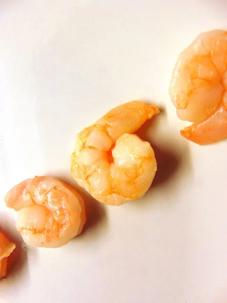 Fresh Shrimps Row — Stock Photo, Image