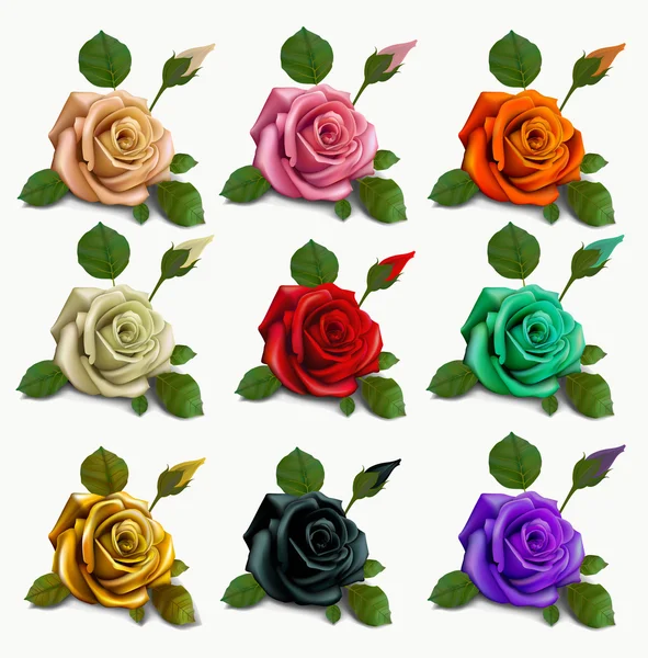 set diferent flowers roses. red black white gold pink beige azure celadon orange Violet .