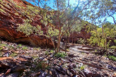Batı Avustralya 'daki Hammersley Vadisi' nde engebeli kızıl uçurumlar ve kayalık arazi boyunca kıvrılan bir nehir bulunur. Çarpıcı doğal oluşumlarla çevrelenmiş sahne, Pilbara bölgesinin uzak güzelliklerini, dramatik manzaralarını ve vahşi doğasını yakalıyor..