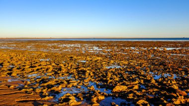 Roebuck Körfezi 'ndeki gelgit düzlüklerinin geniş bir görüntüsü dalgaların çekilmesiyle oluşan kumlu ve çamurlu alanları gösteriyor. Sahne, kıyı ekosistemini, sulak arazi habitatını ve bu uzak ve dinamik kıyı şeridinin doğal güzelliğini yakalar..