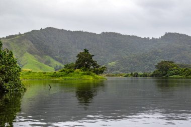 Daintree Nehri 'nin sakin suları çevresindeki yemyeşil yağmur ormanlarını ve uzak tepeleri yansıtıyor ve mükemmel bir yansıma yaratıyor. Huzurlu sahne, bu ikonik tropikal Avustralya manzarasının dingin güzelliğini ve zengin biyolojik çeşitliliğini vurgular..