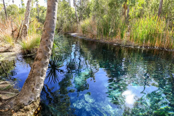 Bitter Springs, Avustralya 'nın Kuzey Toprakları' ndaki yemyeşil tropikal bitki örtüsünden akan ılık ve berrak termal sulara sahiptir. Sakin havuzlar ve çevreleyen yeşillikler huzur verici bir ortam yaratıyor, rahatlama ve doğa keyfi için mükemmel..