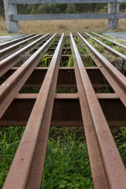 Kırsal bir yolda, çiftlik hayvanlarının geçmesini engellemek için tasarlanmış çelik bir sığırın alçak açılı görüntüsü. Görüntü tarım altyapısı, kırsal mühendislik ve tarım arazisi yönetiminin pratik yönlerini vurguluyor.